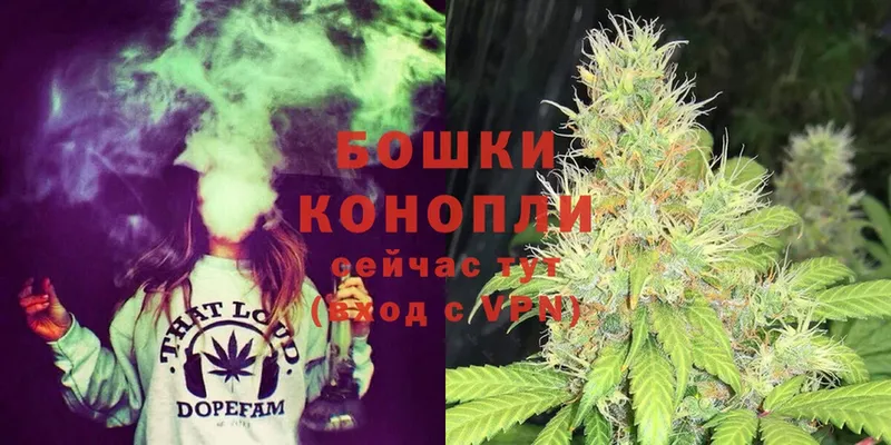 Канабис OG Kush  цены   Красноперекопск 